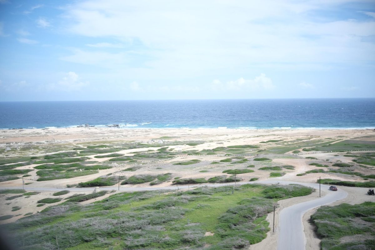 The Butterfly Farm in Noord, Aruba