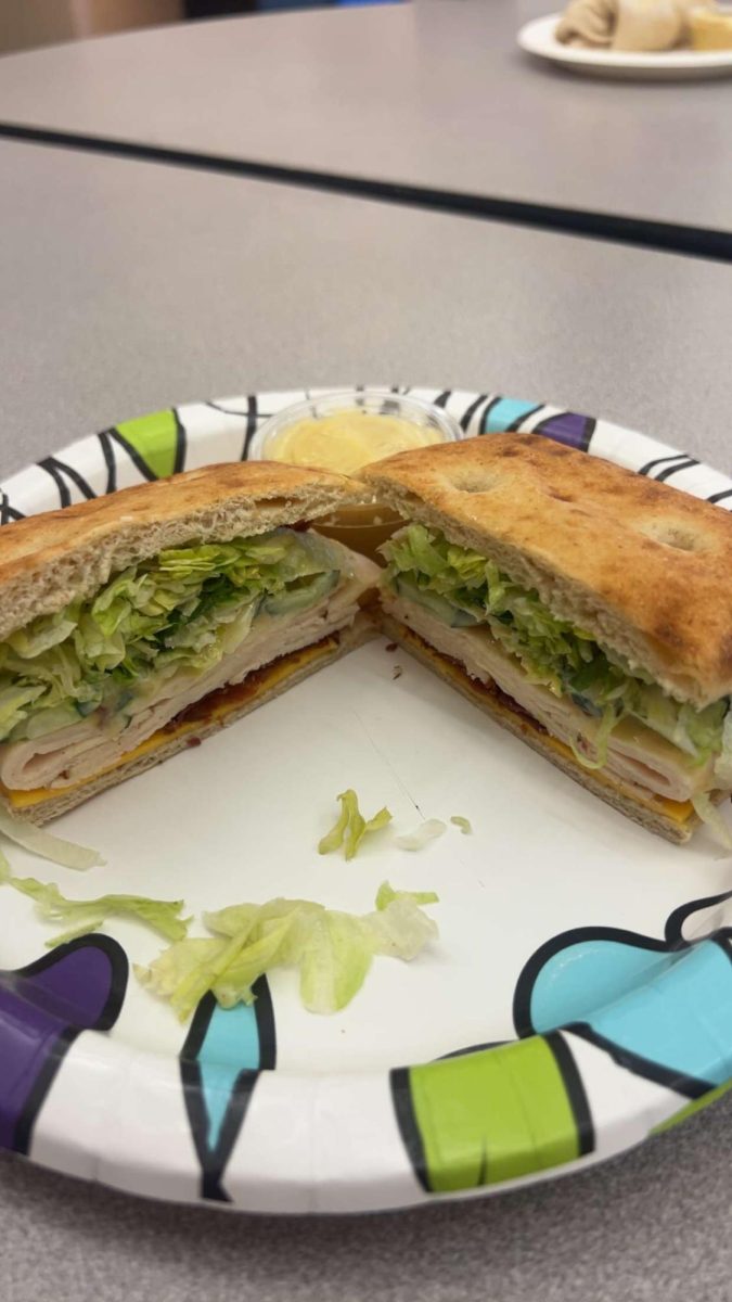 SHOULD ALL SCHOOLS PROVIDE FREE LUNCH?